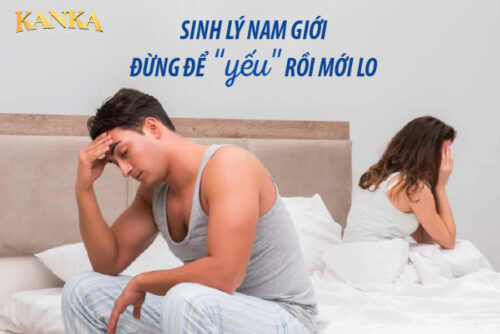 Kanka Nhật Bản có chức năng giúp bổ thận, tráng dương, bức tốc sinh lực