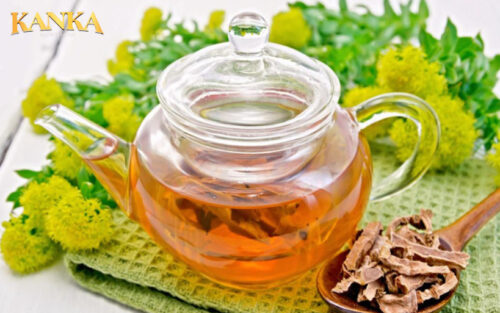 Sâm Rhodiola (Tây Tạng) là một trong những thảo dược quý có tác dụng đối với sức khỏe