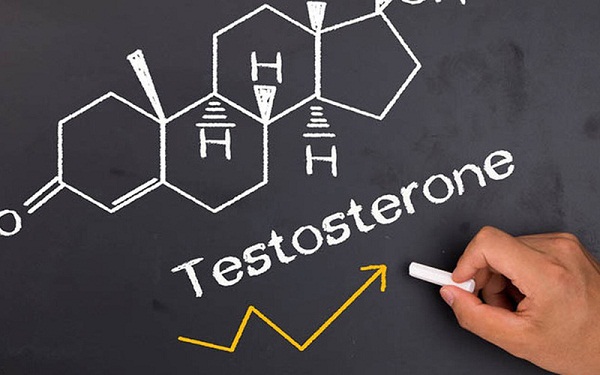 Testosterone - Yếu tố tạo nên sức mạnh nam giới.