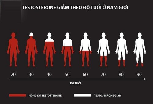 Sự suy giảm testosterone theo độ tuổi ở nam giới.