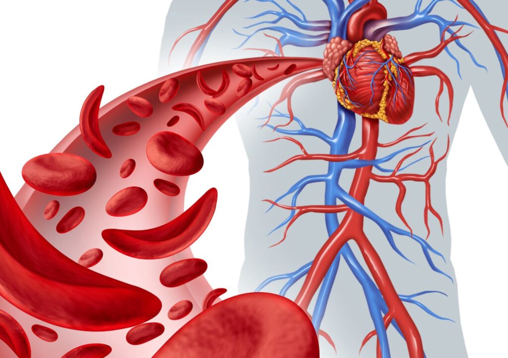 Cải thiện lưu thông máu