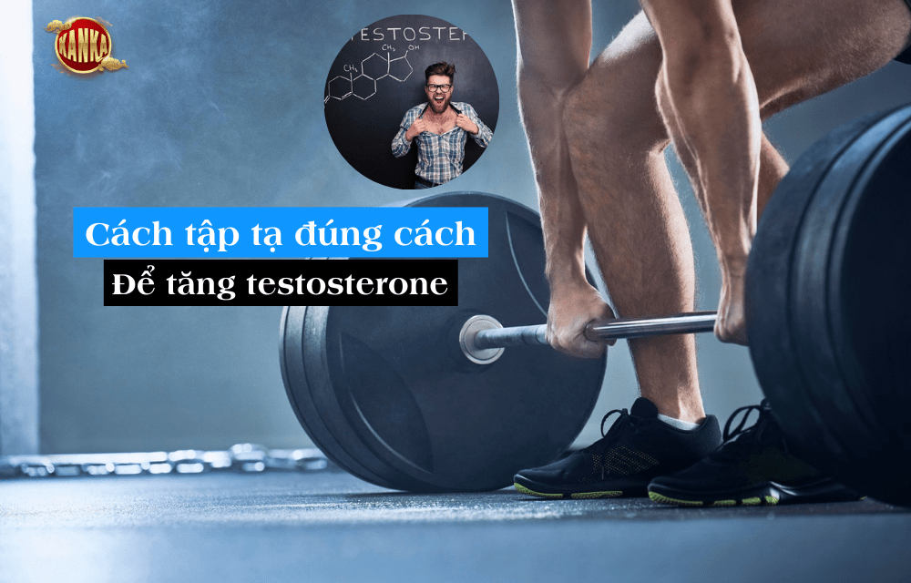 Tập tạ tăng testosterone