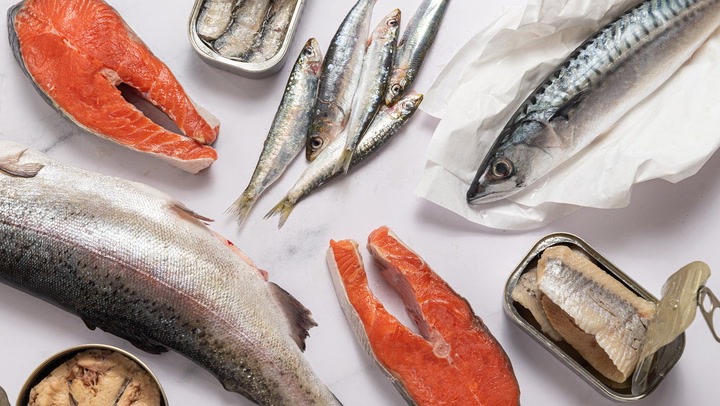 Cá hồi và các loại cá béo
