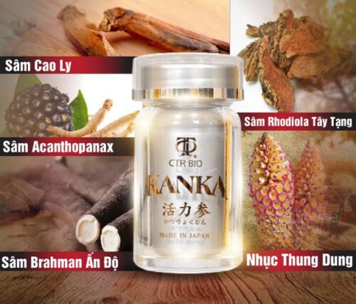 Thành phần bổ thận Kanka