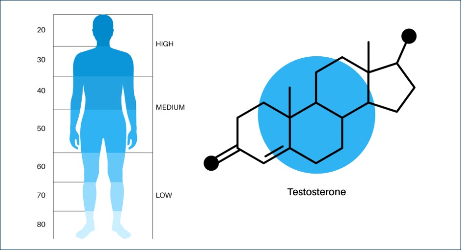Suy giảm testosterone theo tuổi