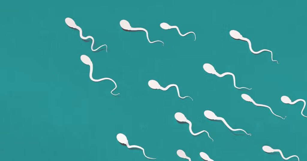 Suy giảm chất lượng tinh trùng