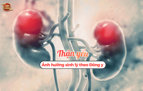 Thận yếu ảnh hưởng sinh lý theo Đông y