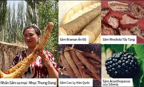 Thành phần bổ thận Kanka