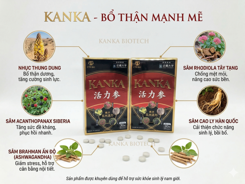 Thành phần bổ thận Kanka